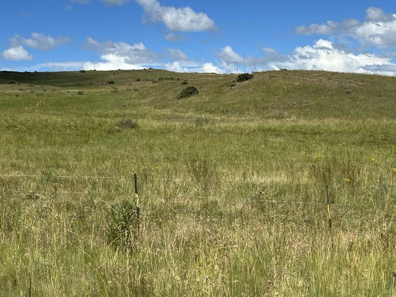 0 Bedroom Property for Sale in Lindley Free State